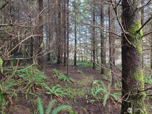 0 Workman Creek Road, Elma, WA 98541