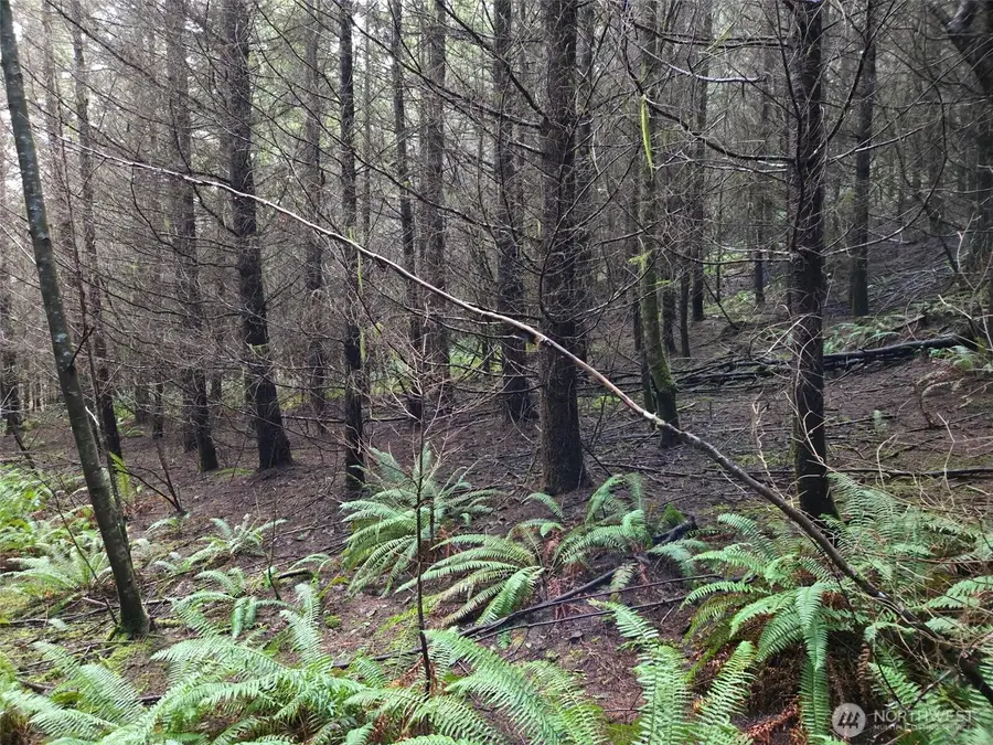 0 Workman Creek Road, Elma, WA 98541 - #3