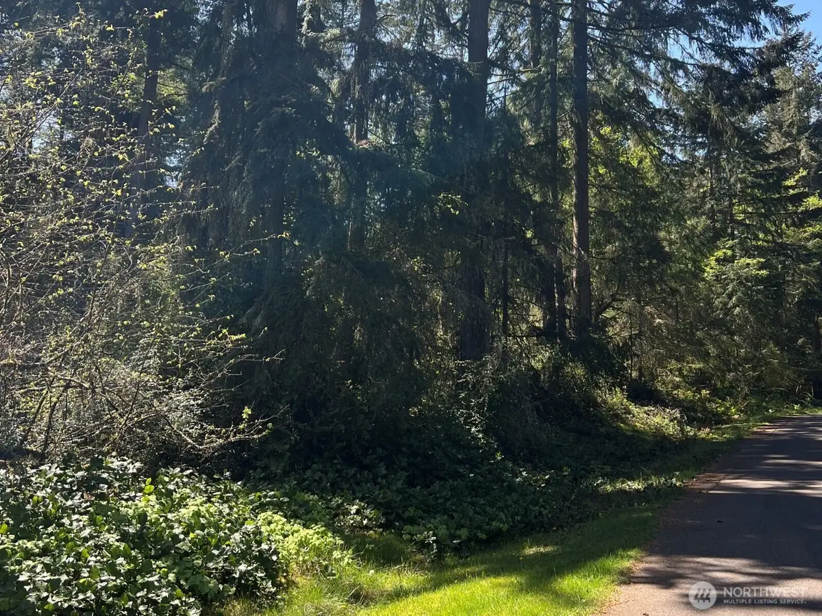 10404 Suncrest Drive, Anderson Island, WA 98303 - #1