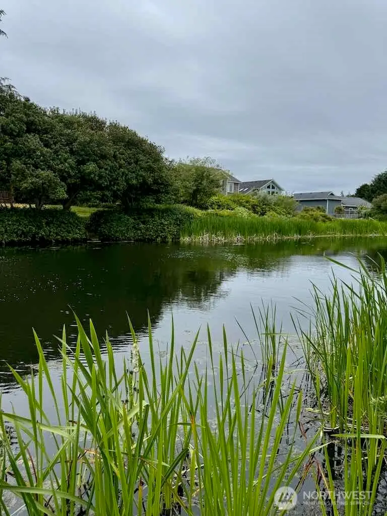 311 Cockle Street Sw #331, Ocean Shores, WA 98569 - #2