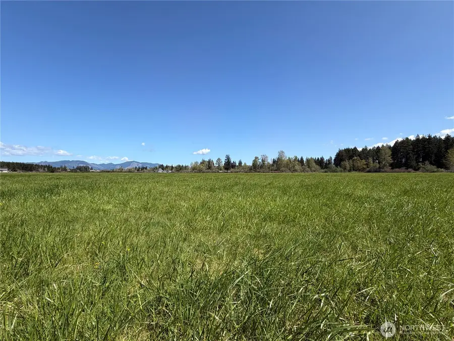 0 W Forest Green Lane, Elma, WA 98541 - #3