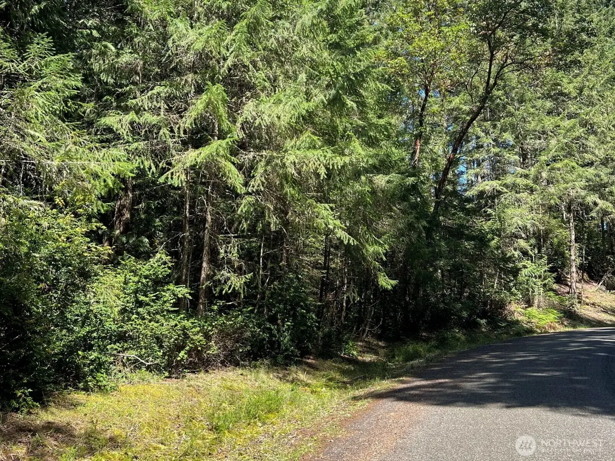 10919 Suncrest Drive, Anderson Island, WA 98303 - #1