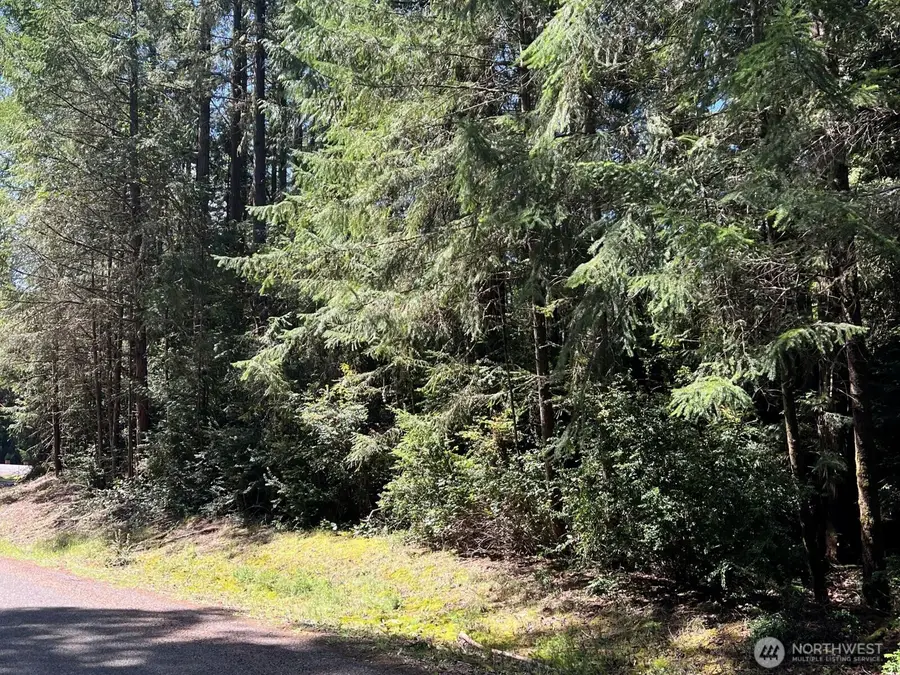 10919 Suncrest Drive, Anderson Island, WA 98303 - #2