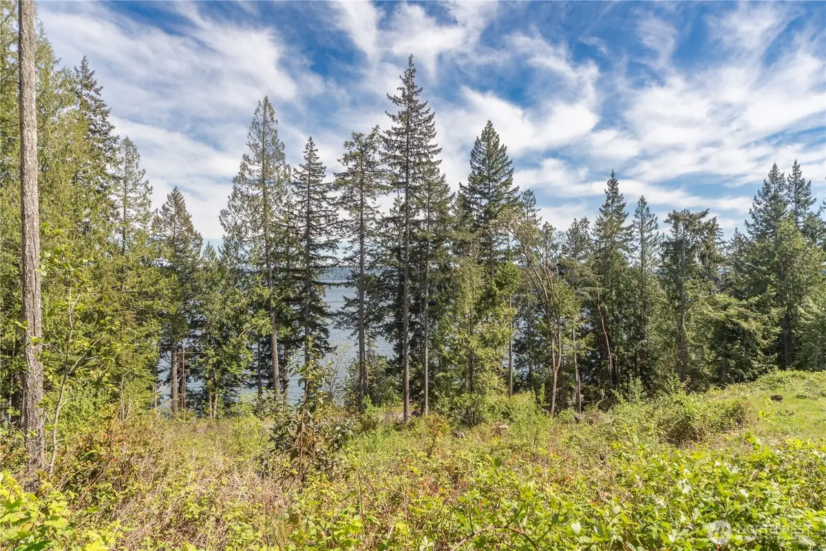 155 Tog Road, Brinnon, WA 98320 - #1