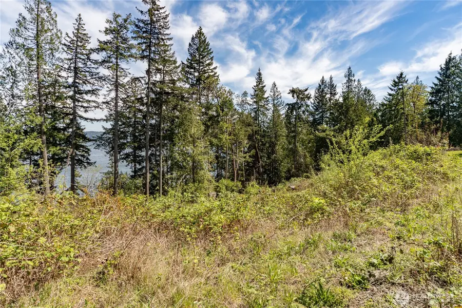 155 Tog Road, Brinnon, WA 98320 - #2