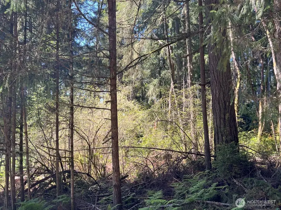 10312 Paine Road, Anderson Island, WA 98303 - #2