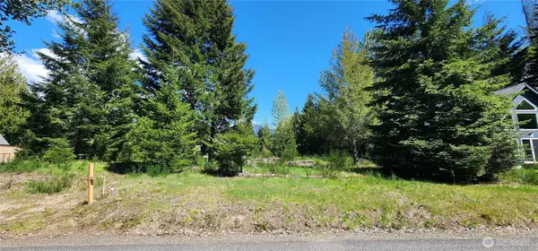 113 Cottonwood Lane #10, Packwood, WA 98361