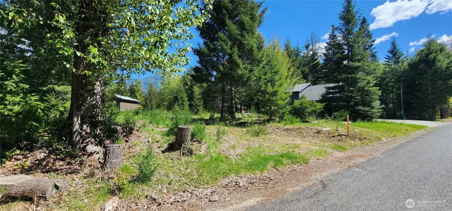 113 Cottonwood Lane #10, Packwood, WA 98361 - #2