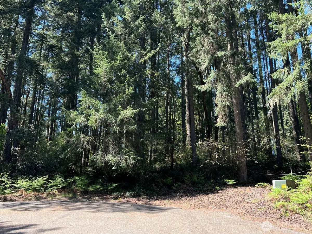 11410 103rd Street, Anderson Island, WA 98303 - #1