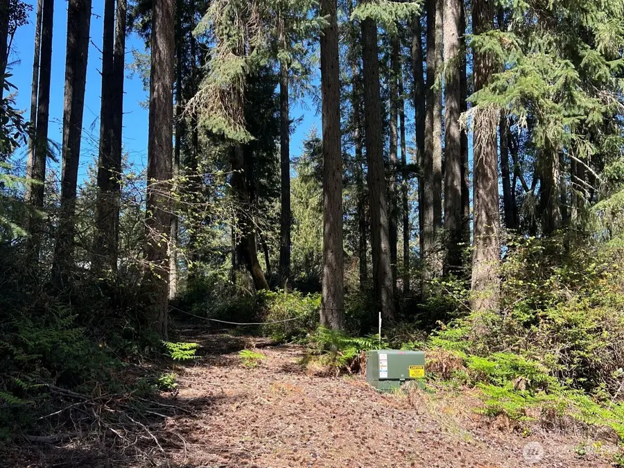 11410 103rd Street, Anderson Island, WA 98303 - #2