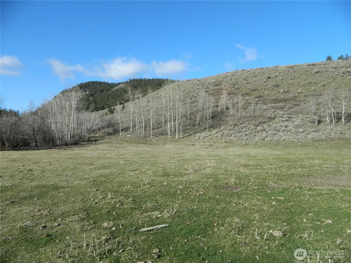 111 Tbd Ellemeham Mountain Ridge Road, Tonasket, WA 98855 - #1