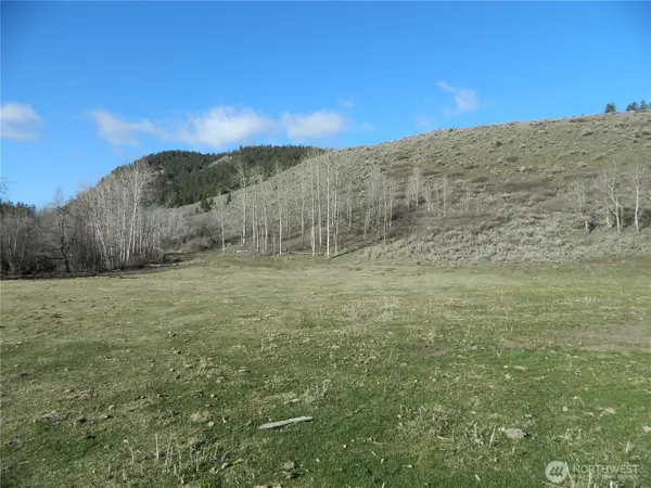 111 Tbd Ellemeham Mountain Ridge Road, Tonasket, WA 98855