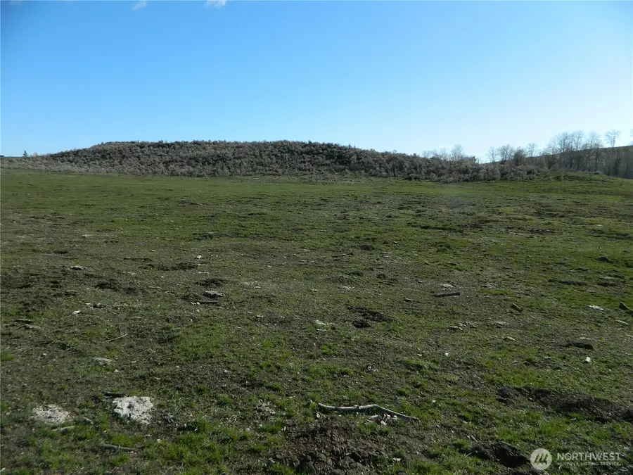 111 Tbd Ellemeham Mountain Ridge Road, Tonasket, WA 98855 - #2