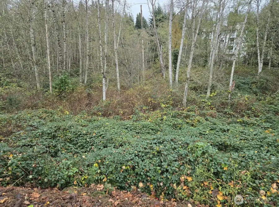 8201 5th Avenue W, Everett, WA 98204 - #3