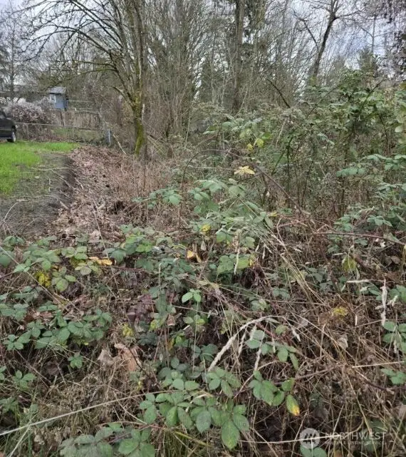 8027 S Yakima Avenue, Tacoma, WA 98408 - #3