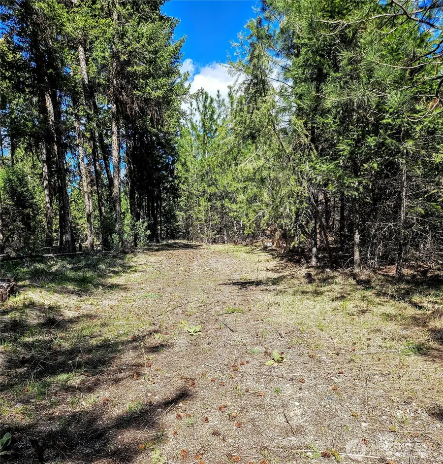 168 Prior Loop Road, Oroville, WA 98844 - #3