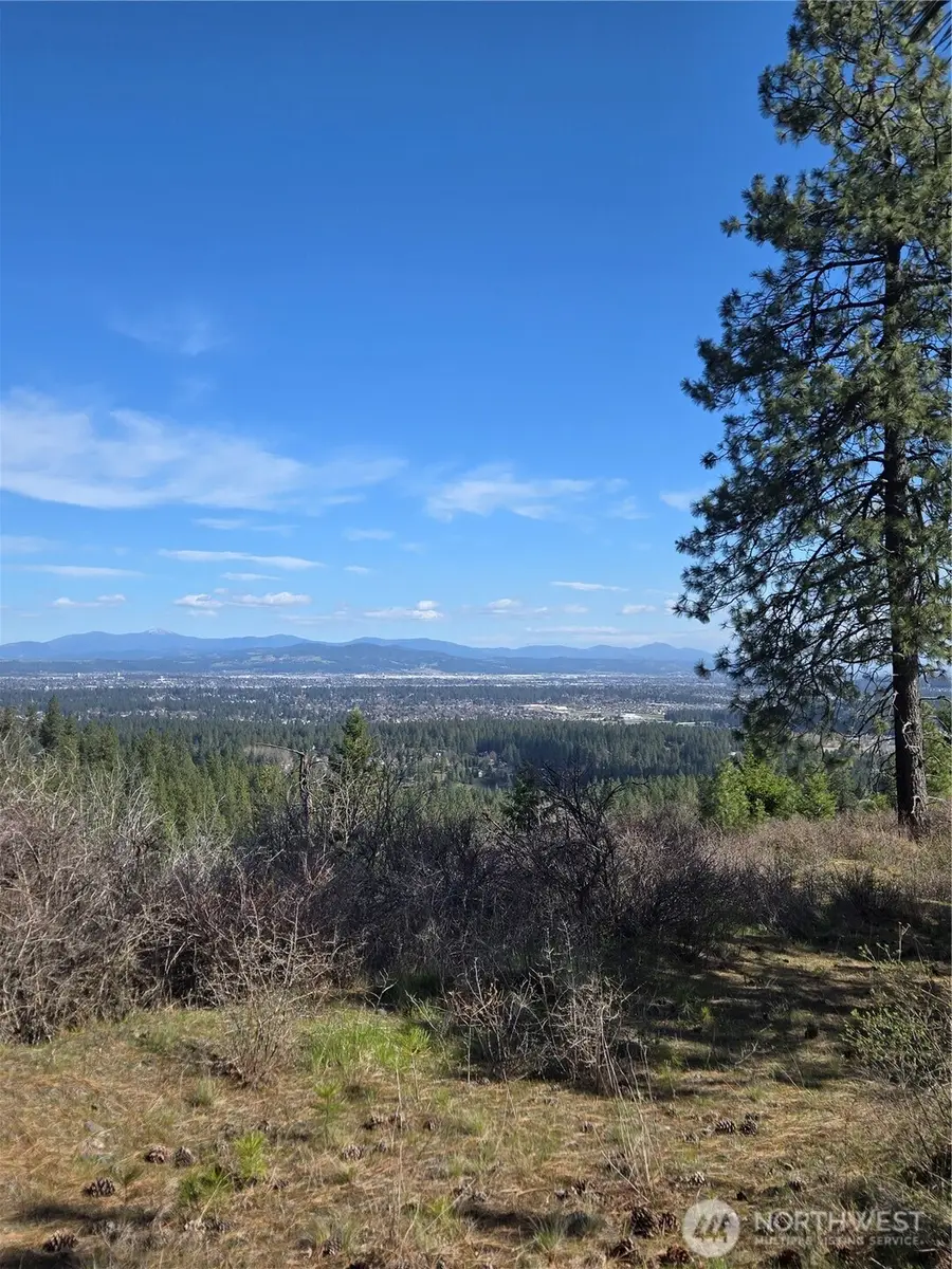 10610 Hallett, Spokane, WA 99206 - #2