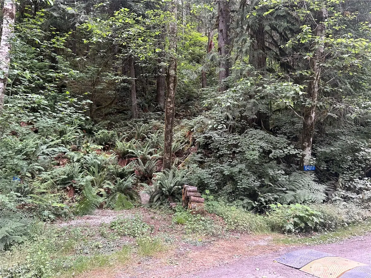 64017 E Cascade Drive #194, Marblemount, WA 98267 - #1