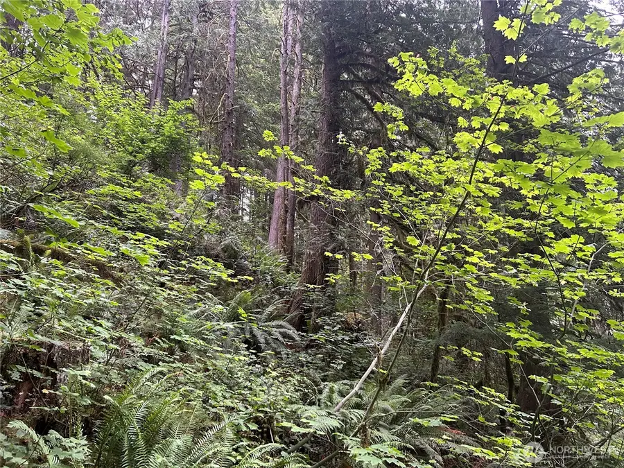 64017 E Cascade Drive #194, Marblemount, WA 98267 - #2