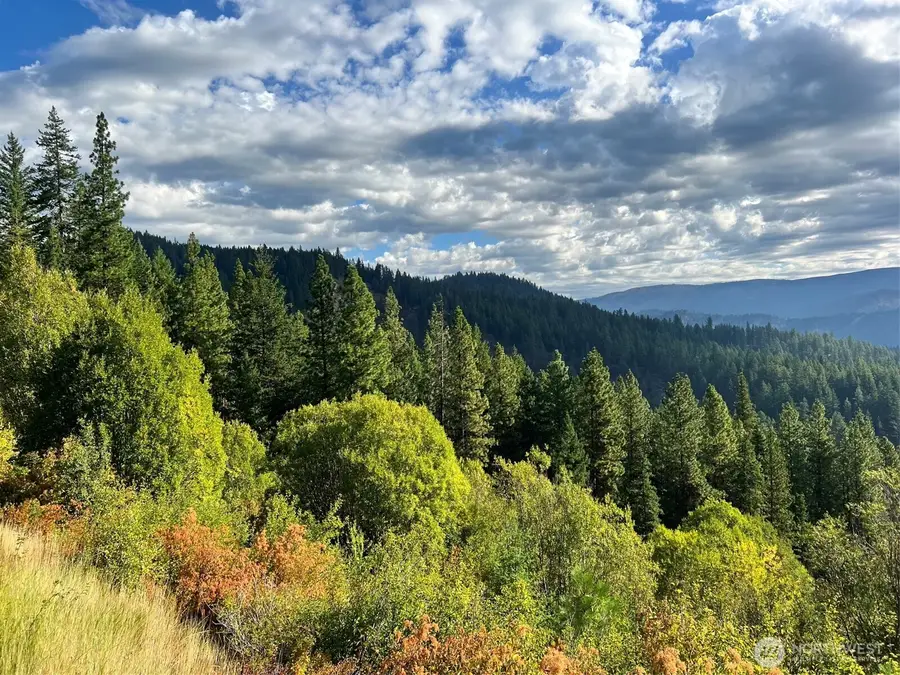 0 Juneberry Lane, Leavenworth, WA 98826 - #2