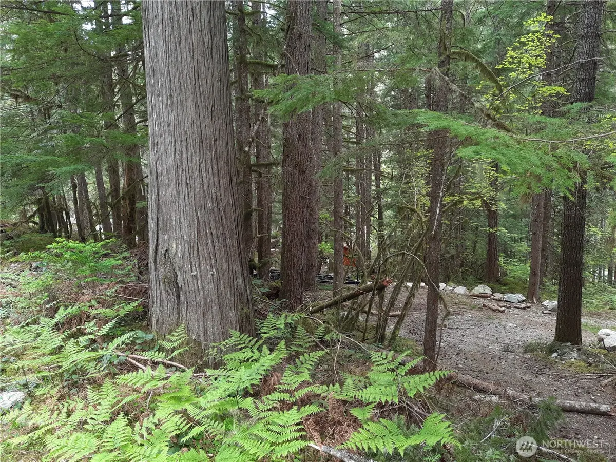 0 Cascade River Road #148, East Skagit, WA 98263 - #1