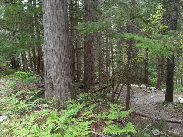 0 Cascade River Road #148, Marblemount, WA 98263