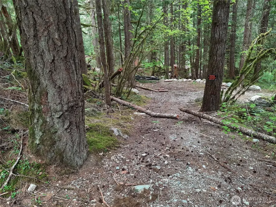 0 Cascade River Road #148, East Skagit, WA 98263 - #2