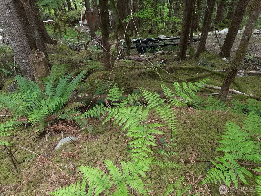 0 Cascade River Road #148, East Skagit, WA 98263 - #3