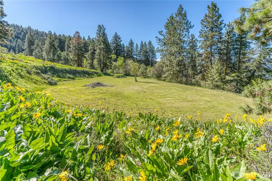 0 Sky Meadows Road, Cashmere, WA 98815 - #2