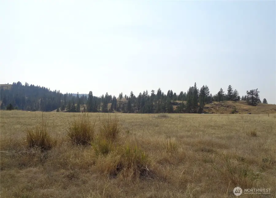 337 Watoka Way #337, Tonasket, WA 98855 - #2