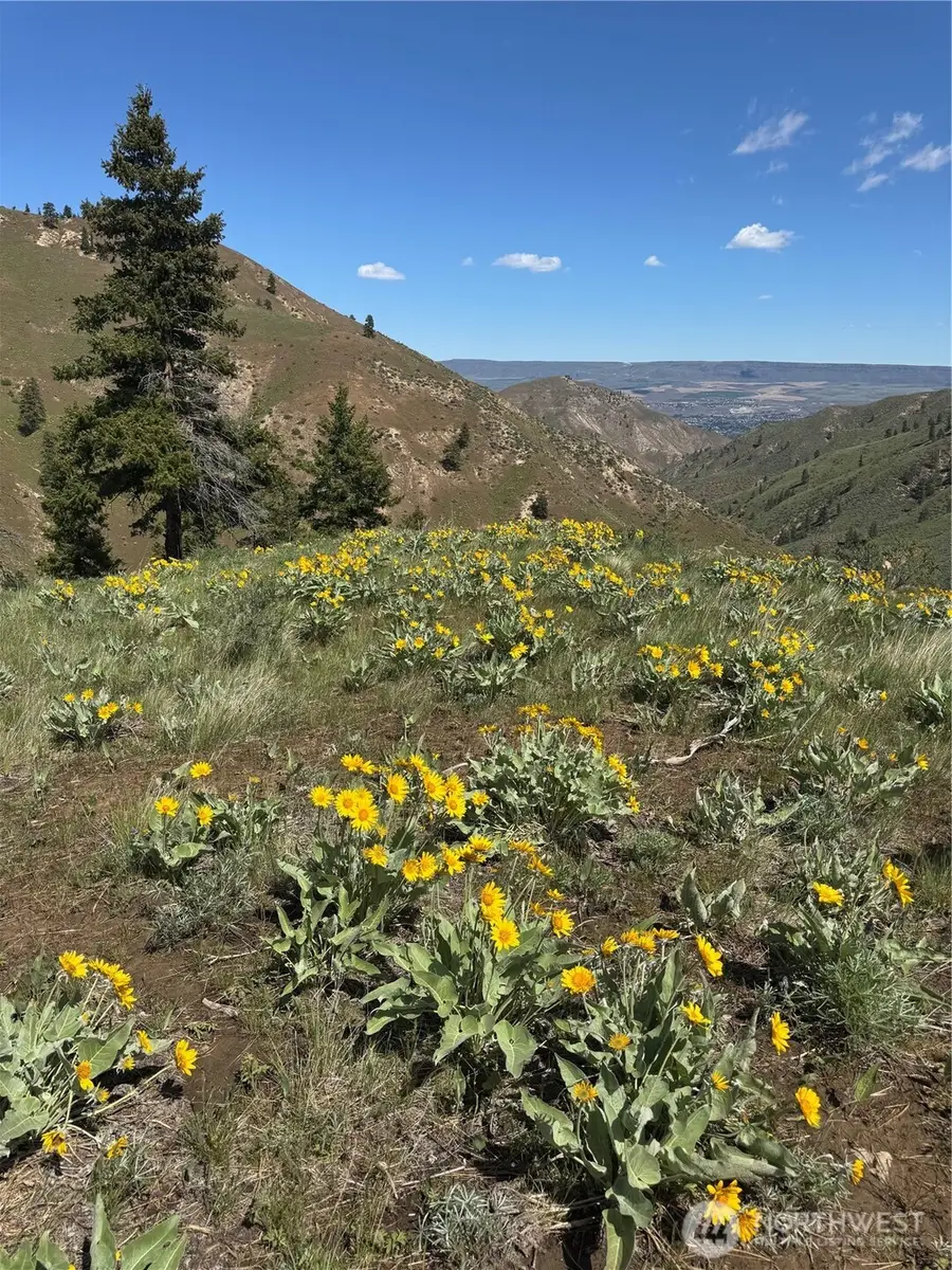 0 Uphill Lane #2, Wenatchee, WA 98801 - #2