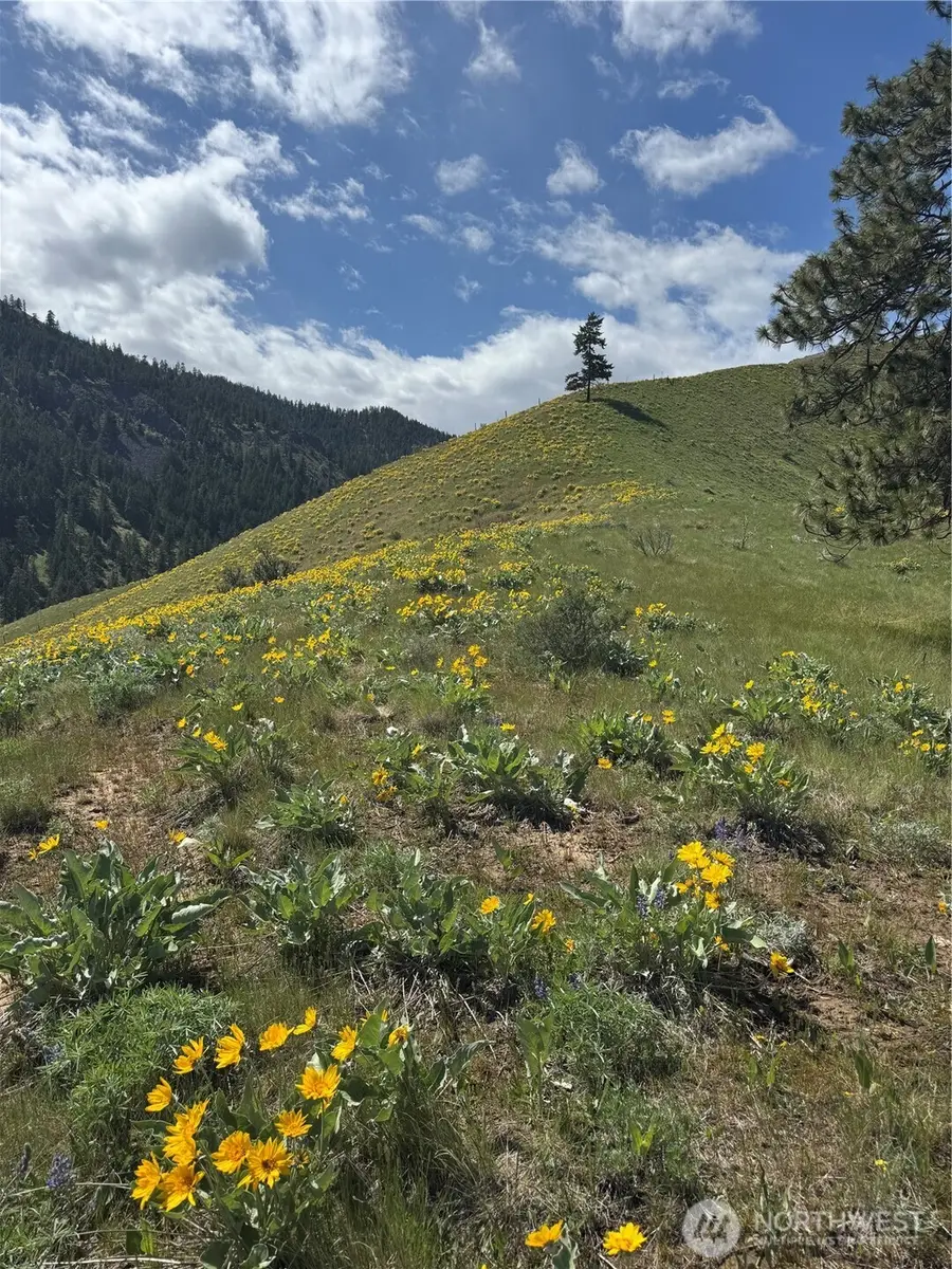 0 Uphill Lane #2, Wenatchee, WA 98801 - #3
