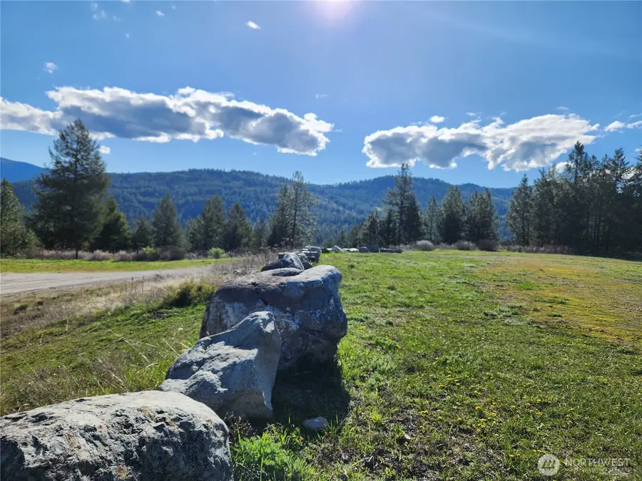83 Burbank Place, Republic, WA 99166 - #3