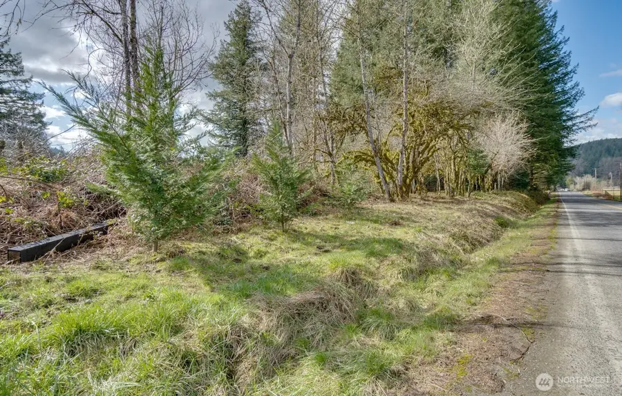 0 NE Cedar Creek Road, Amboy, WA 98601 - #2