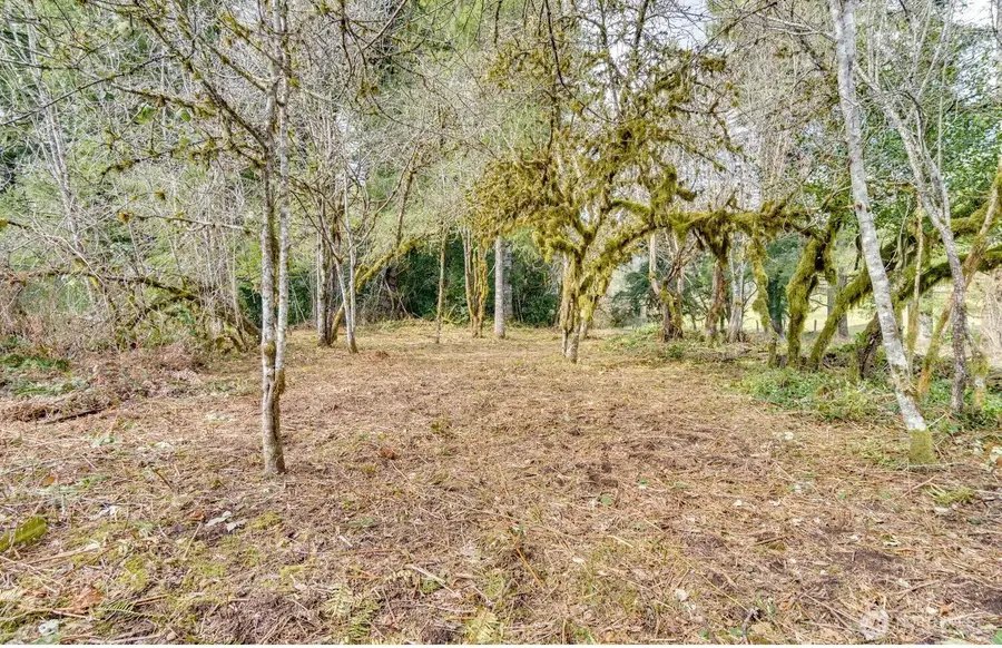 0 NE Cedar Creek Road, Amboy, WA 98601 - #3