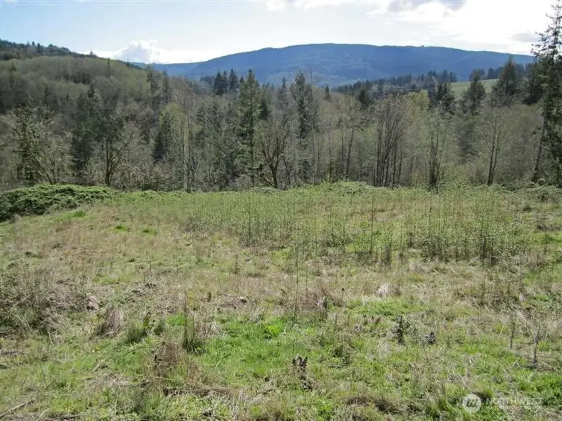 470 Italian Creek Road, Kalama, WA 98625 - #1