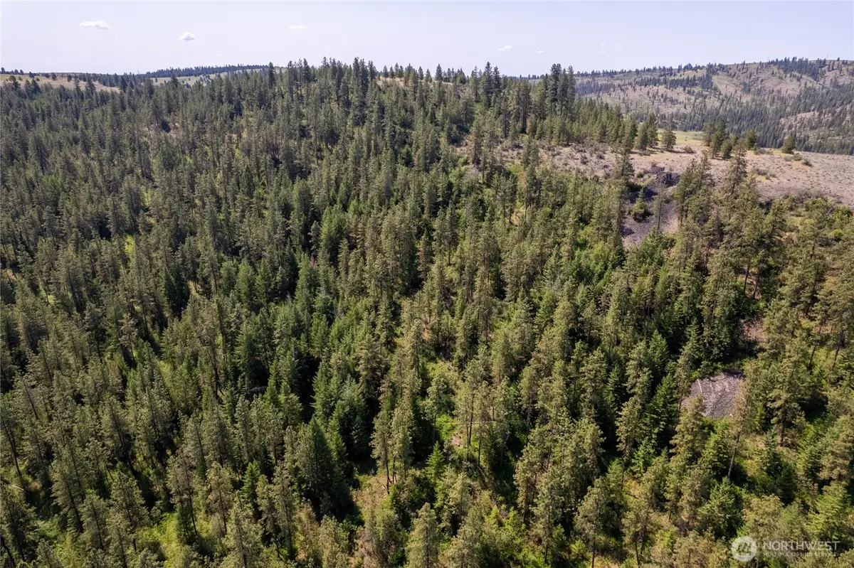 0 Peter Dan Creek Rd, Coulee Dam, WA 99116 - #1