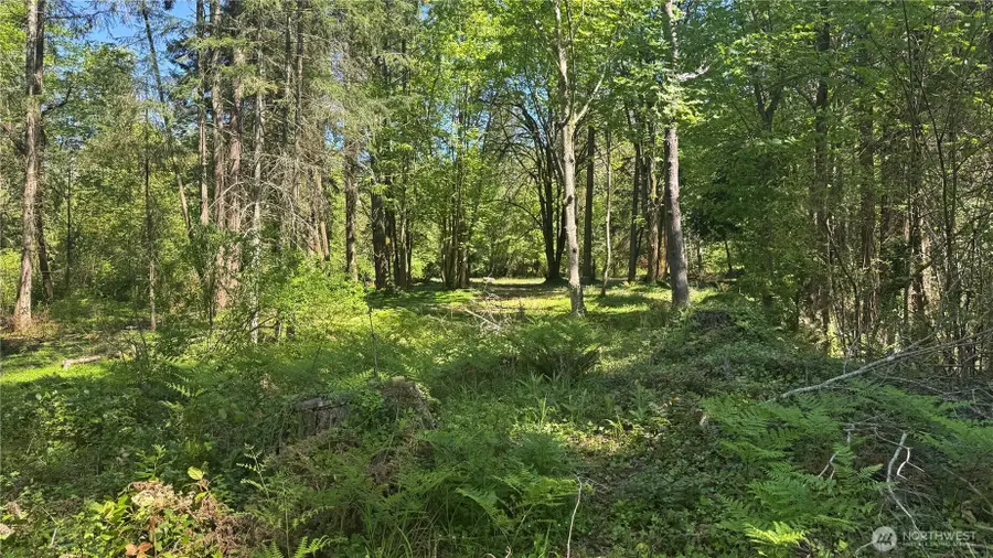 12820 SW Bank Rd, Vashon, WA 98070 - #3