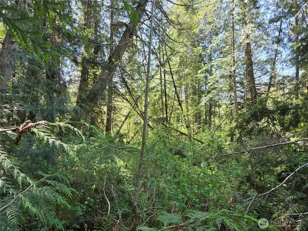 0 Falls Road, Randle, WA 98377