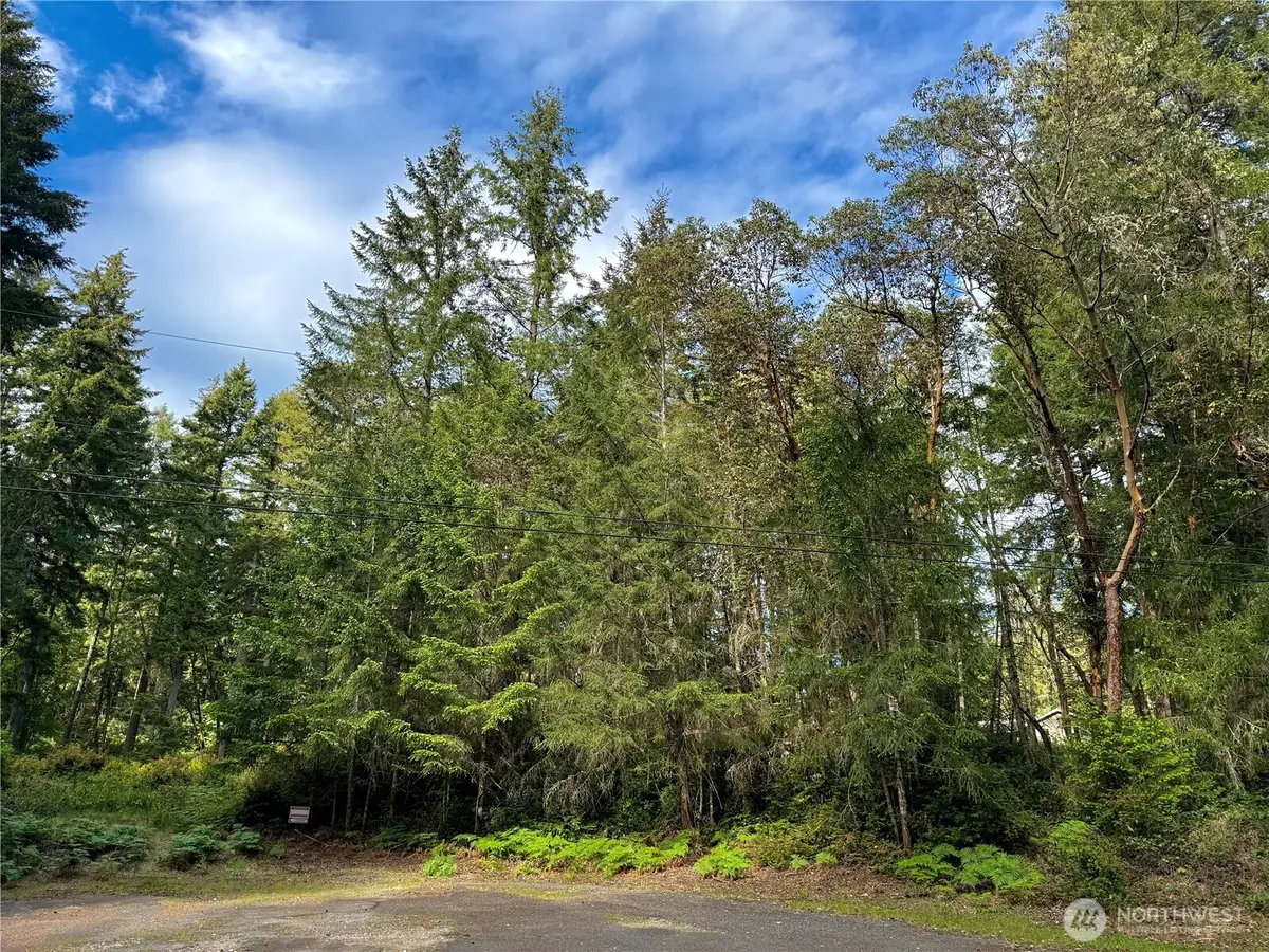 12027 Country Club Drive, Anderson Island, WA 98303 - #1