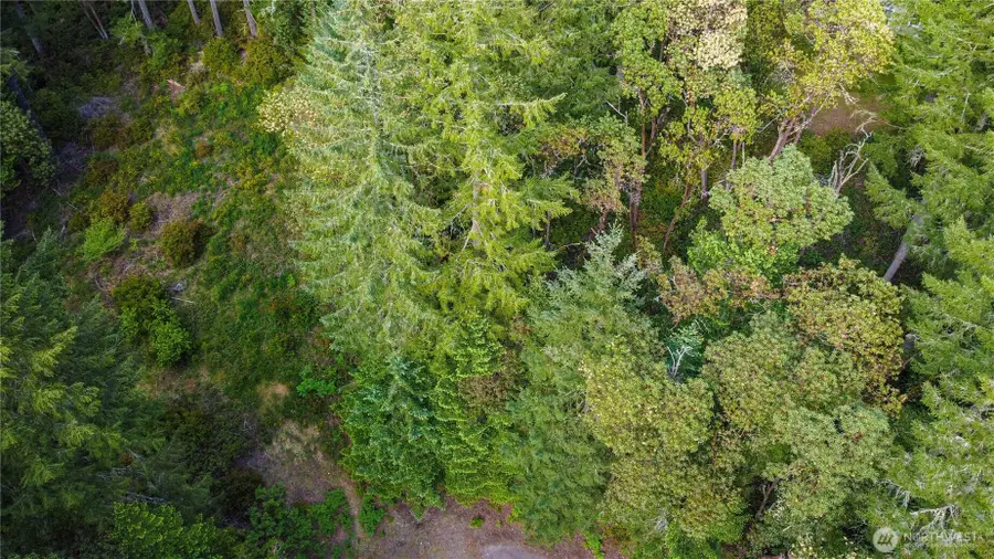 12027 Country Club Drive, Anderson Island, WA 98303 - #3