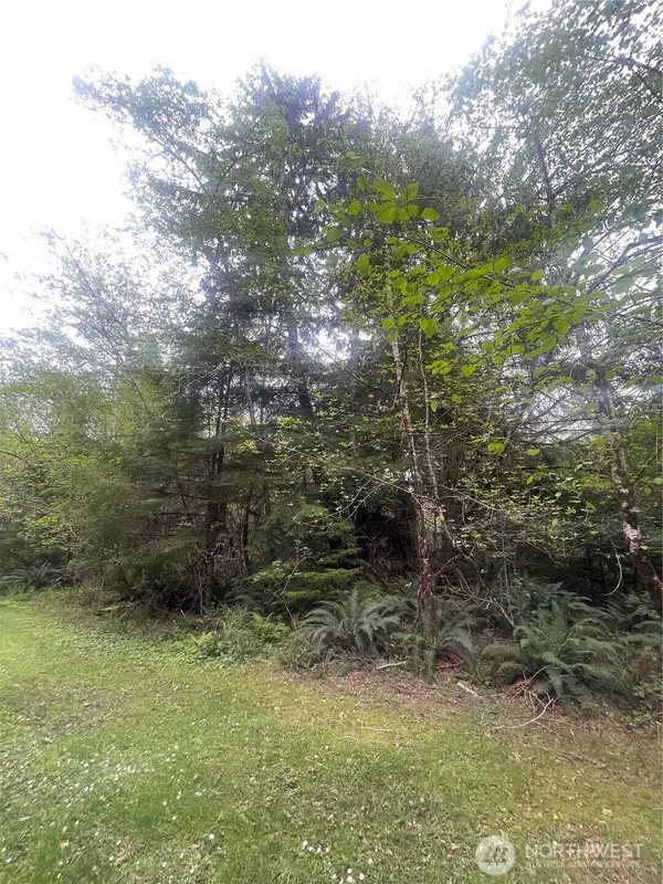 0 Bay Lane #042, South Bend, WA 98586