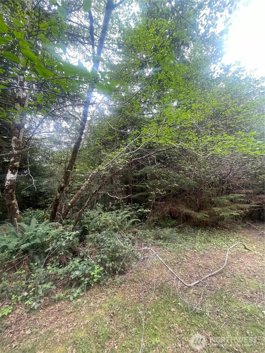 0 Bay Lane #042, South Bend, WA 98586 - #2