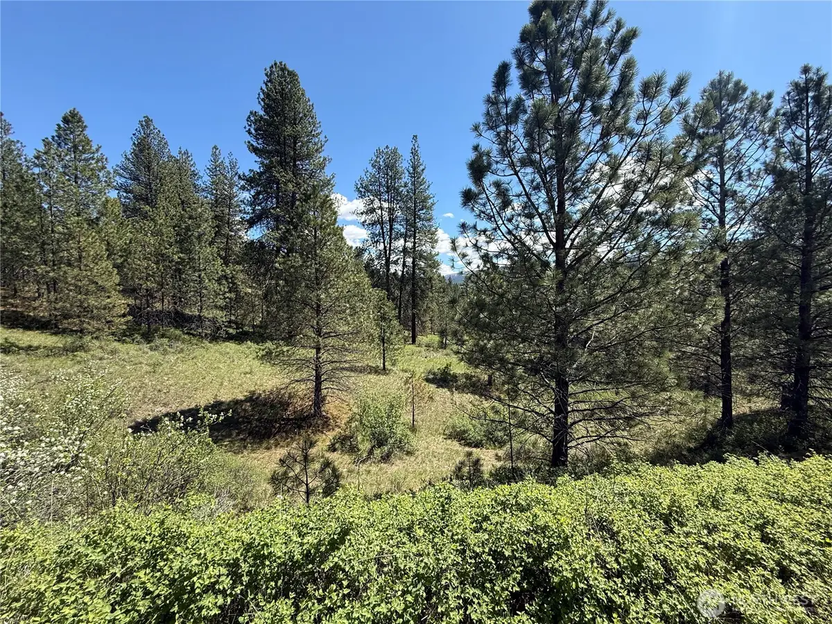0 Fir Lane, Curlew, WA 99118 - #1