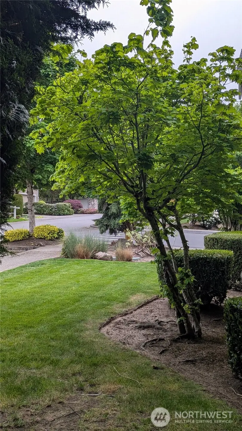 2733 143rd Street Sw #D, Lynnwood, WA 98087 - #2