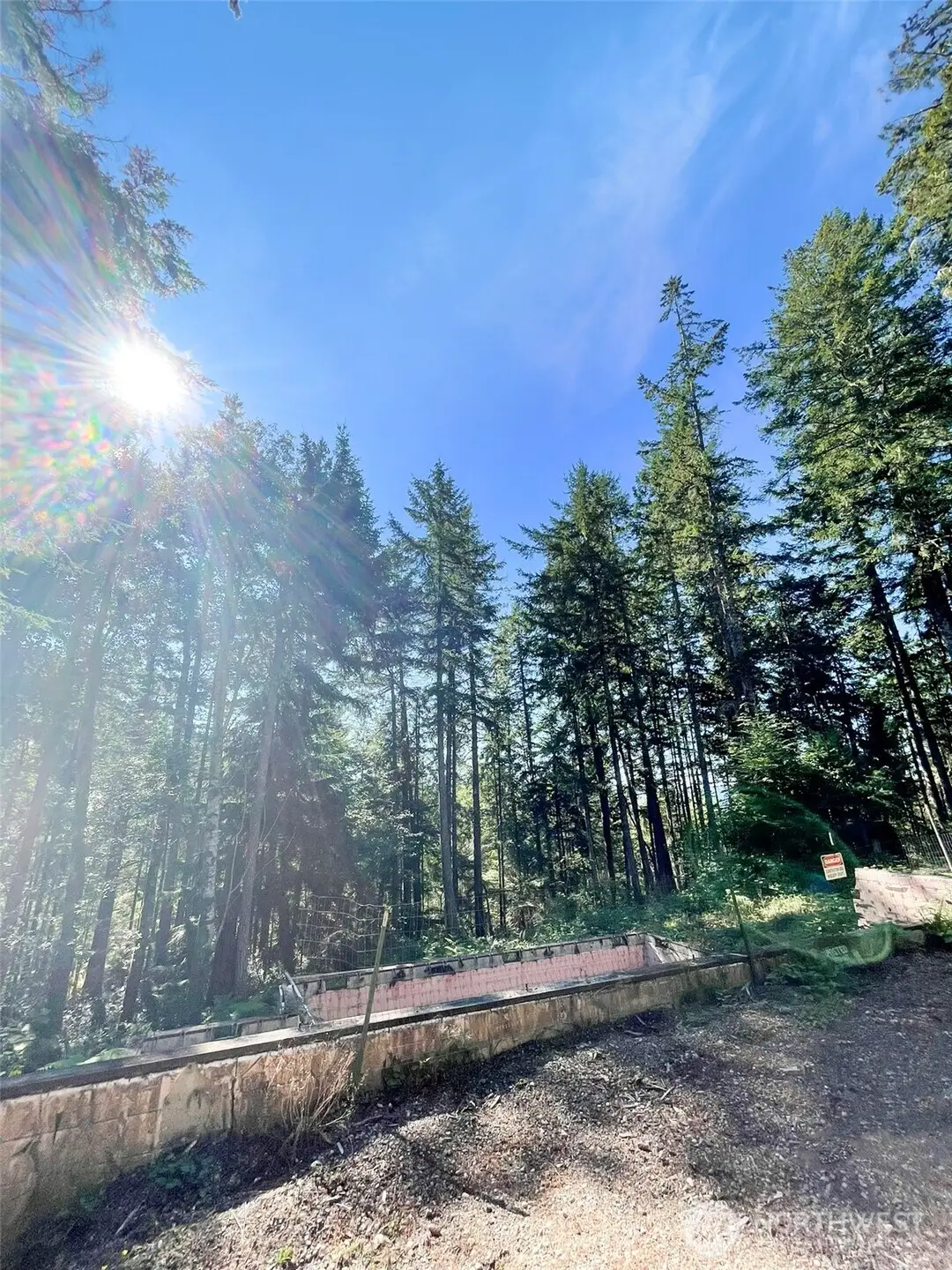 111 N Colony Surf Drive, Lilliwaup, WA 98555 - #1