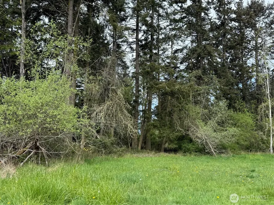 3 Xx Bay View Street #Lot 21, Sequim, WA 98382 - #3