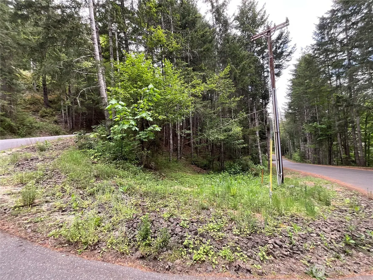 1 N Colony Surf Drive, Lilliwaup, WA 98555 - #1