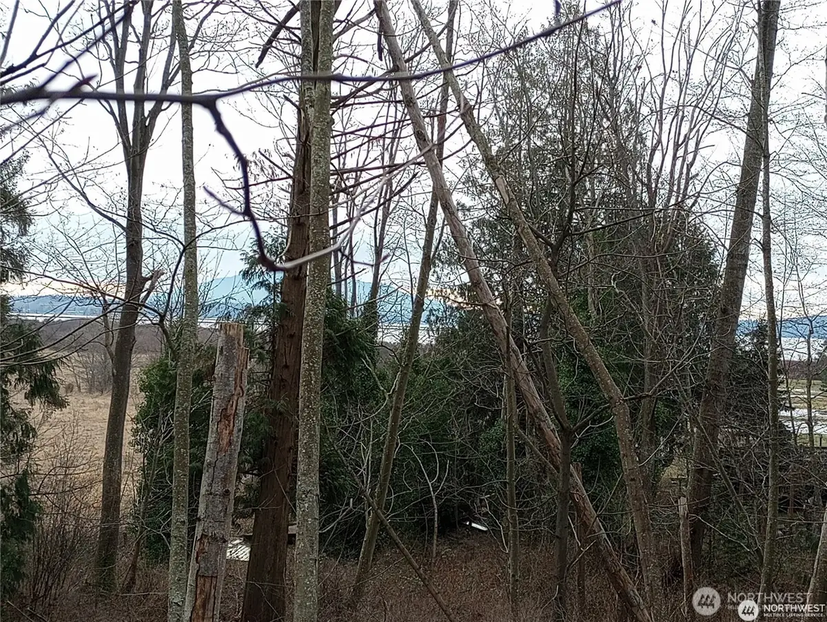 0 Red River Road, Ferndale, WA 98248 - #1