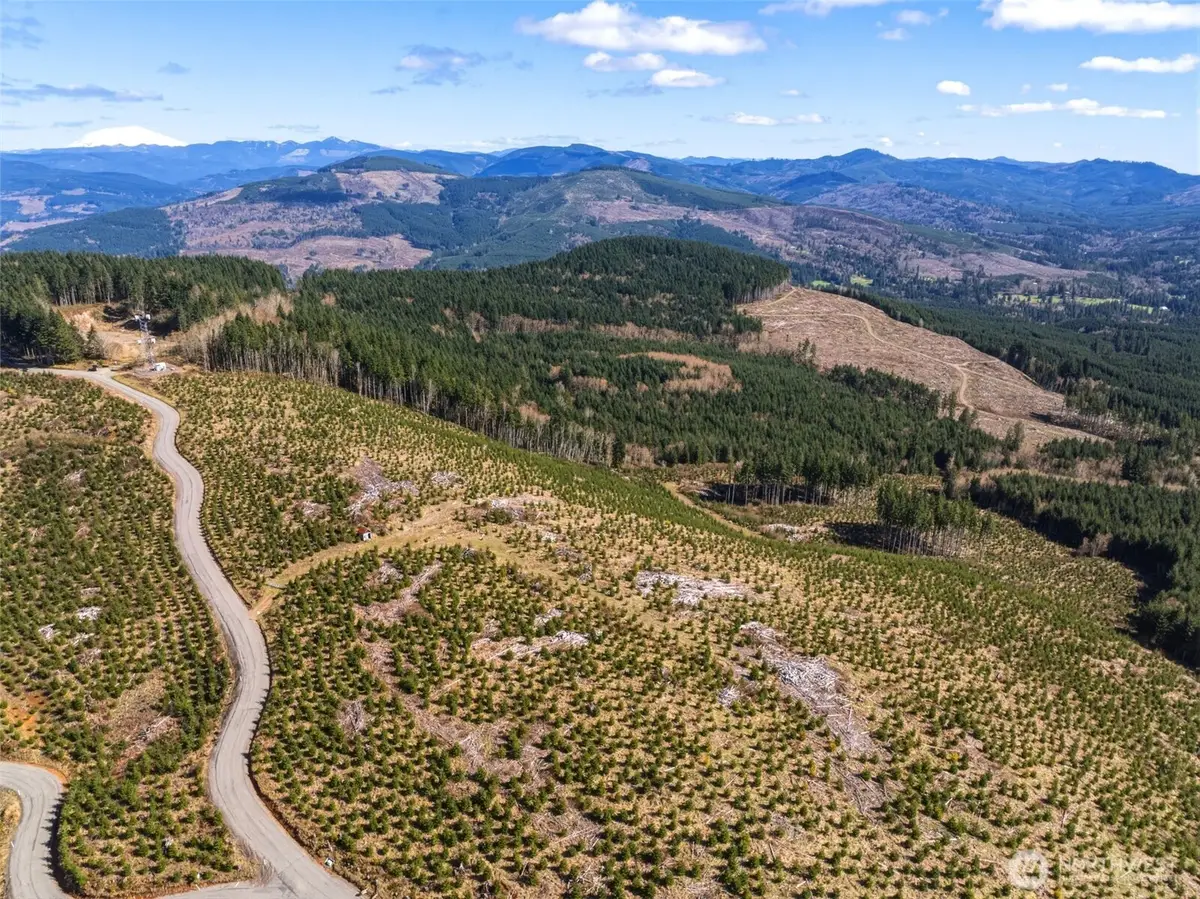 0 Mt Brynion Road #Lot 2, Kelso, WA 98626 - #1